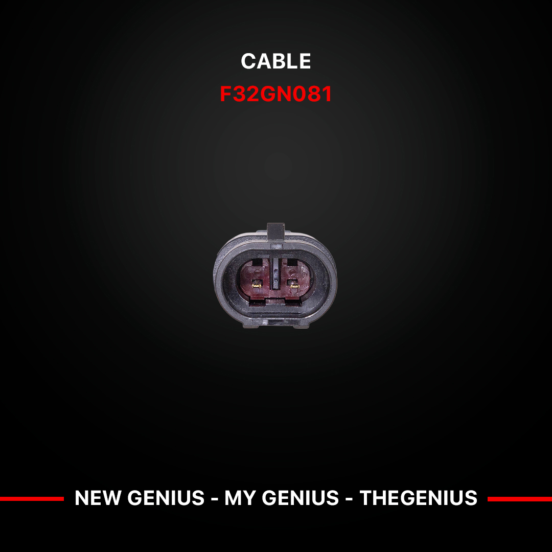 F32GN081_3.jpg